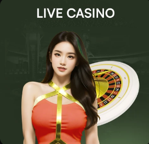 梁靖崑两战两负无缘澳门乒乓球世界杯淘汰赛，奥恰洛夫出线